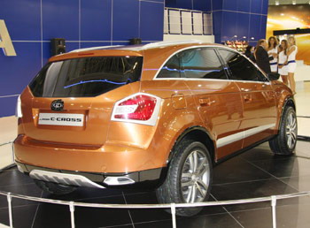 C-Cross 1.jpg